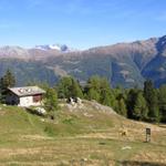 weiter ging unsere Wanderung auf die Breitmatte