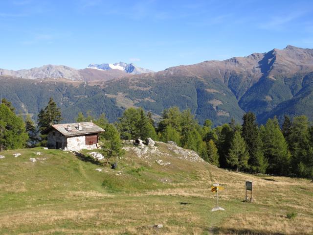 weiter ging unsere Wanderung auf die Breitmatte