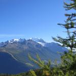 Blick auf den Balfrin, Mischabelgruppe und Riedgletscher