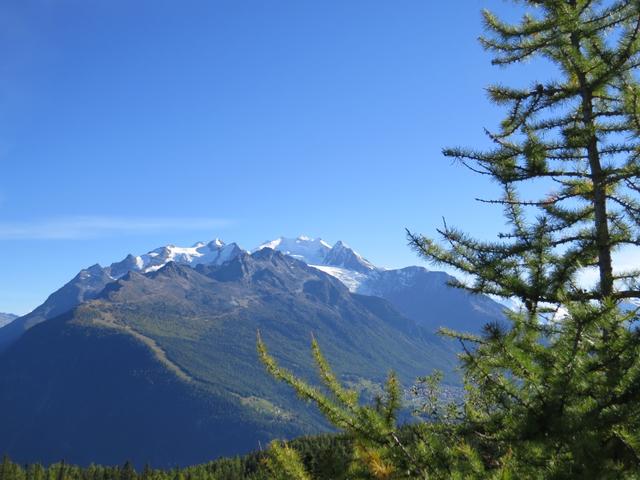 Blick auf den Balfrin, Mischabelgruppe und Riedgletscher