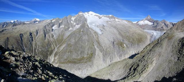 schönes Breitbildfoto mit Blick auf Geisshorn, Aletschhorn, Wannenhörner und Finsteraarhorn