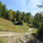 wir überqueren den kleinen Brunneri Bach und wandern über Lärchenwälder und Weiden