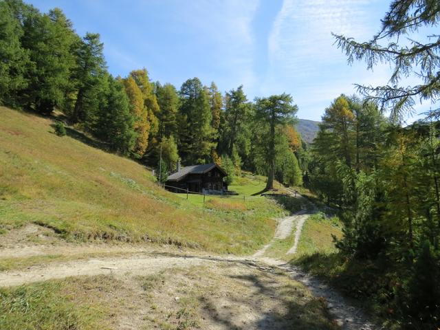 wir überqueren den kleinen Brunneri Bach und wandern über Lärchenwälder und Weiden