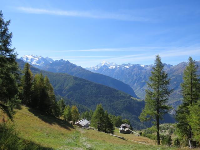 Blick in das Matter- und Saasertal, Balfrin und Weisshorn. Unsere heutige Wanderung führt uns auf den Gibidum