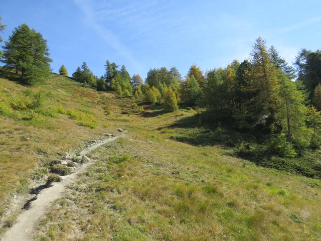 auf dem Weg Richtung Punkt 2145 m.ü.M.