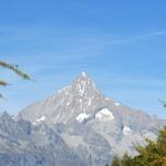 dieser Berg das Bietschhorn wird uns den ganzen Tag begleiten