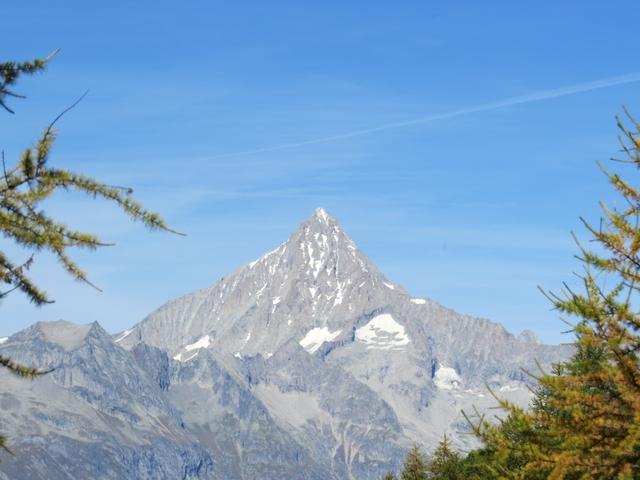 dieser Berg das Bietschhorn wird uns den ganzen Tag begleiten