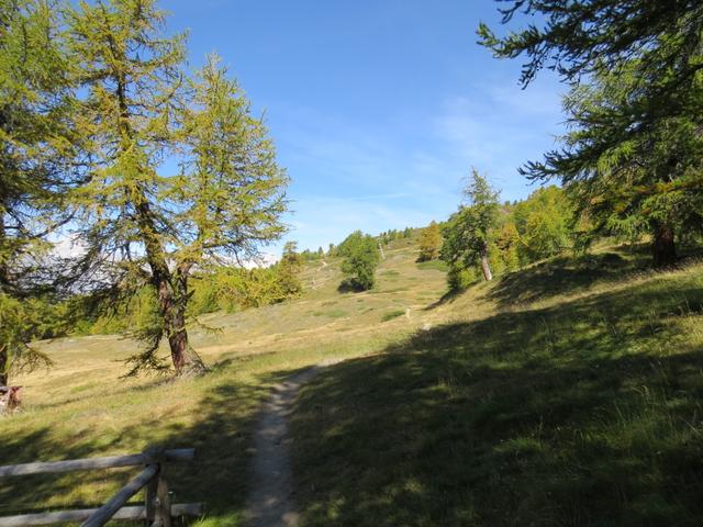 wir umkreisen die Alphütte und wandern bei bestem Wanderwetter Richtung Gibidumpass