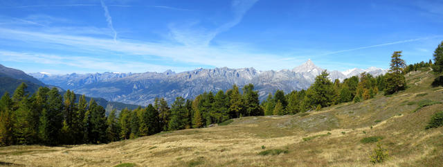 schönes Breitbildfoto mit Blick Richtung Rhonetal