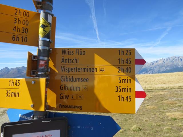 unsere Wanderung führt uns nun vom Gibidumpass auf den Gibidum