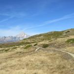 auf Alp Stafelti geht es ganz leicht bergauf