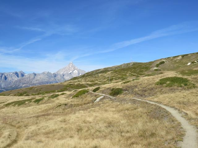 auf Alp Stafelti geht es ganz leicht bergauf