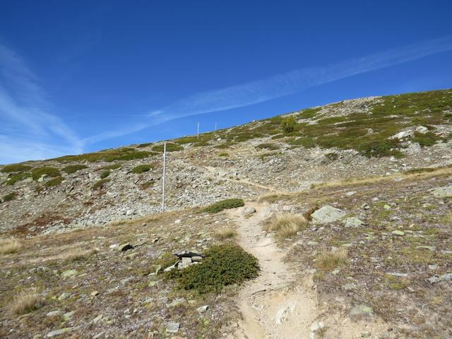 über einen breiten einfachen Wanderweg geht es weiterhin ganz leicht bergauf