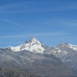 Blick zum Aletschhorn