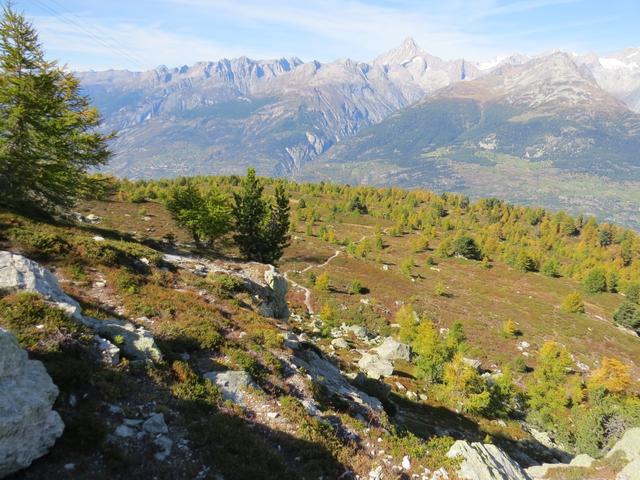 wir haben Punkt 2039 m.ü.M. erreicht. Hier geht der Weg ein kurzes Stück steil abwärts