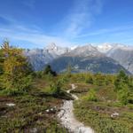 nachdem wir die "schwierigste" Stelle der ganzen Wanderung hinter uns haben, wandern wir weiter zu Punkt 1856 m.ü.M.