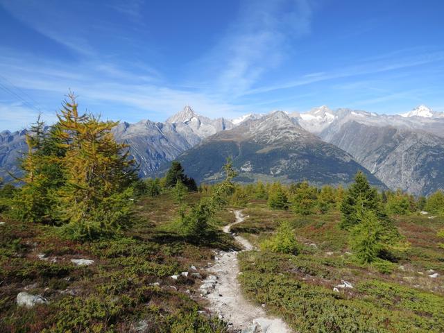 nachdem wir die "schwierigste" Stelle der ganzen Wanderung hinter uns haben, wandern wir weiter zu Punkt 1856 m.ü.M.