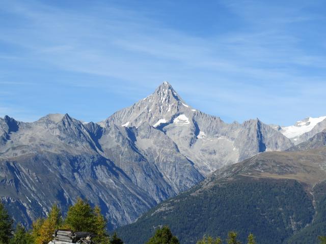 Blick zum Bietschhorn