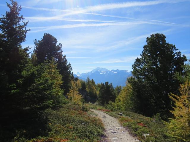 diese Rundwanderung ist einfach super schön. Die Aussicht ändert je nachdem wo man sich befindet