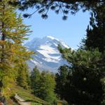 Blick zum Fletschhorn