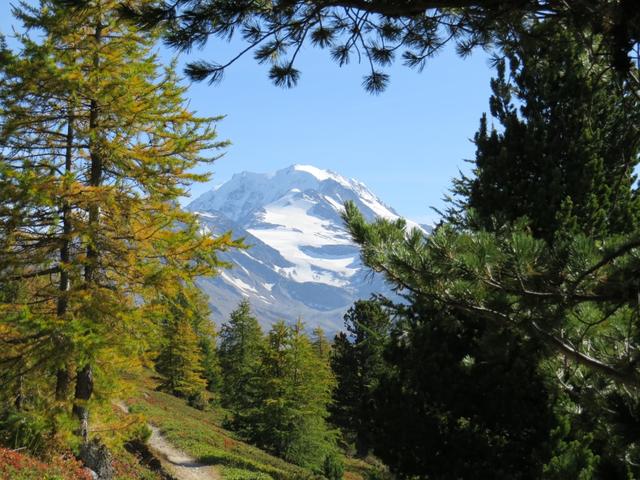 Blick zum Fletschhorn