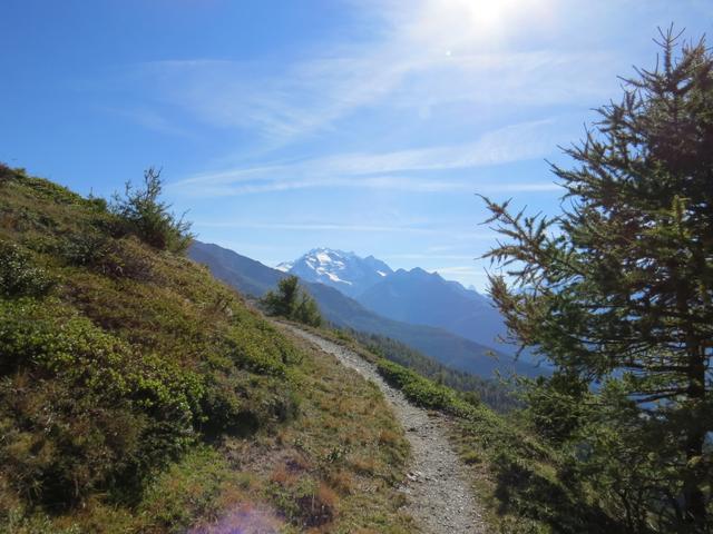 der Wanderweg führt nun leicht aufwärts Richtung Gritte