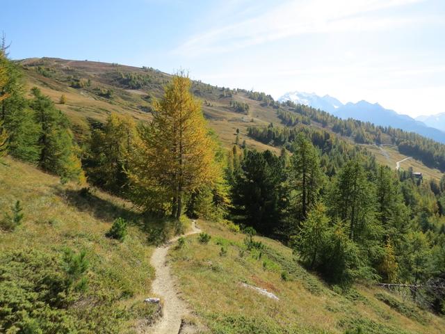 bei Gritte senkt sich der Weg wieder leicht. Wir überqueren nun den Riedbach