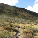 bei der Weggabelung auf Seebjiboden 2072 m.ü.M.