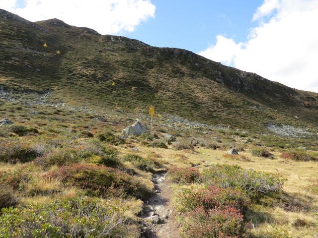 bei der Weggabelung auf Seebjiboden 2072 m.ü.M.