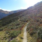 am nordöstlichem Hang des Wangegg führt uns nun der Wanderweg Richtung Tritt