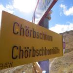 der Weg hinauf zum Chörbsch Horn ist fakultativ. Wir wollen aber auf jedenfall zum Chörbsch Horn hinauf