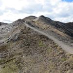 auf einen einfachen Bergweg, wandern wir nun hinauf zum Chörbsch Horn