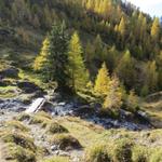 bei Punkt 1930 m.ü.M. überquerten wir über eine Holzbrücke einen kleinen Bach