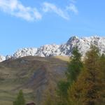 Blick hinauf zur Mederger Flue. Sieht fast so aus wie in den Dolomiten