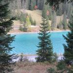 von der Furgaalp liefen weiter abwärts und erreichten kurze Zeit später, der Stausee Isel 1606 m.ü.M.