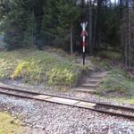 bei Punkt 1607 m.ü.M. überquerten wir die Geleise der Rhätischen Bahn...