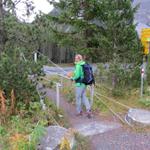 kurz nach der Kläranlage überqueren wir über eine Hängebrücke den Welschtobelbach