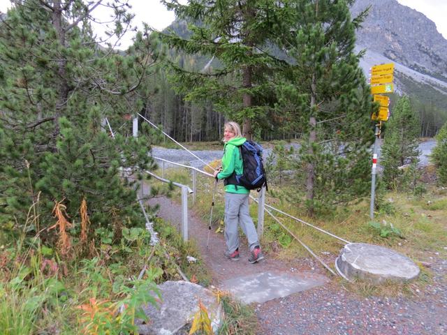 kurz nach der Kläranlage überqueren wir über eine Hängebrücke den Welschtobelbach