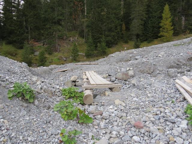 über diese solide Holzbrücke bei Punkt 1674 m.ü.M. überqueren wir den Furggatobelbach