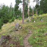 steil führt der Waldweg nun aufwärts durch den Furggawald