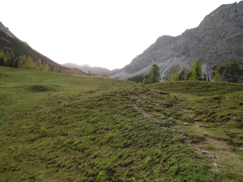 auf den Alpweiden auf Furggabödeli 1905 m.ü.M.