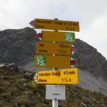 Wegweiser bei der Weggabelung 2153 m.ü.M. weiter geht es zur Maienfelder Furgga