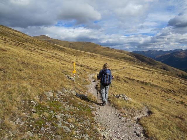 die Weggabelung bei Punkt 2262 m.ü.M. wir wandern weiter geradeaus Richtung Stafelalp