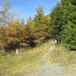 bei Punkt 2133 m.ü.M. biegt der Wanderweg rechts ab