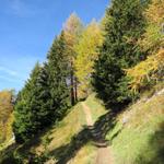 unsere heutige Wanderung führt uns auf den Piz Clünas und auf den Piz Minschun