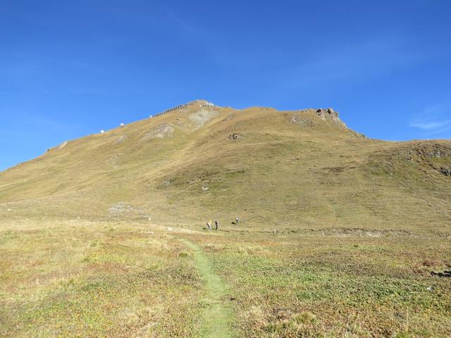 wir haben die Weggabelung auf Alp Clünas 2457 m.ü.M. erreicht