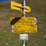 Wegweiser auf Alp Clünas 2457 m.ü.M.