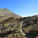 bei Punkt 2642 m.ü.M. steigen wir nicht hinauf zum Piz Clünas, sondern biegen rechts ab