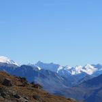 Blick zur Ortler Gruppe