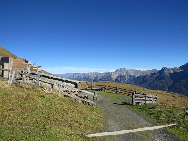 bei der Weggabelung Punkt 2484 m.ü.M. sind wir links abgebogen und haben nun die Alp Clünas 2457 m.ü.M. erreicht